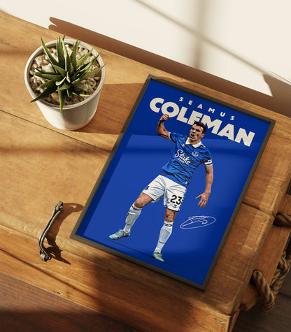 Seamus Coleman 4K Poster