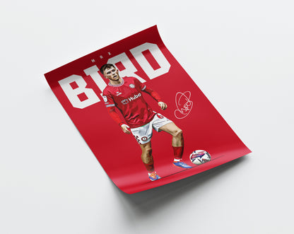 Max Bird 24/25 4K Poster