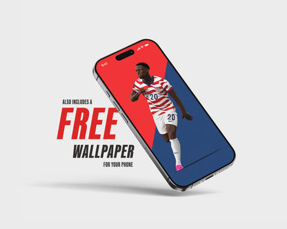 Folarin Balogun (USA) Poster